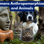 Why Humans Anthropomorphize Objects and Animals